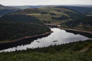 Modernizing Agriculture: Key Reforms Needed for Sustainable Farming