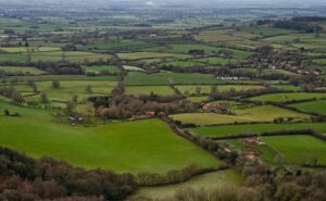 Soil Health Management Reforms for Long-Term Productivity