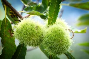 Water Management Reforms for Climate-Resilient Farming